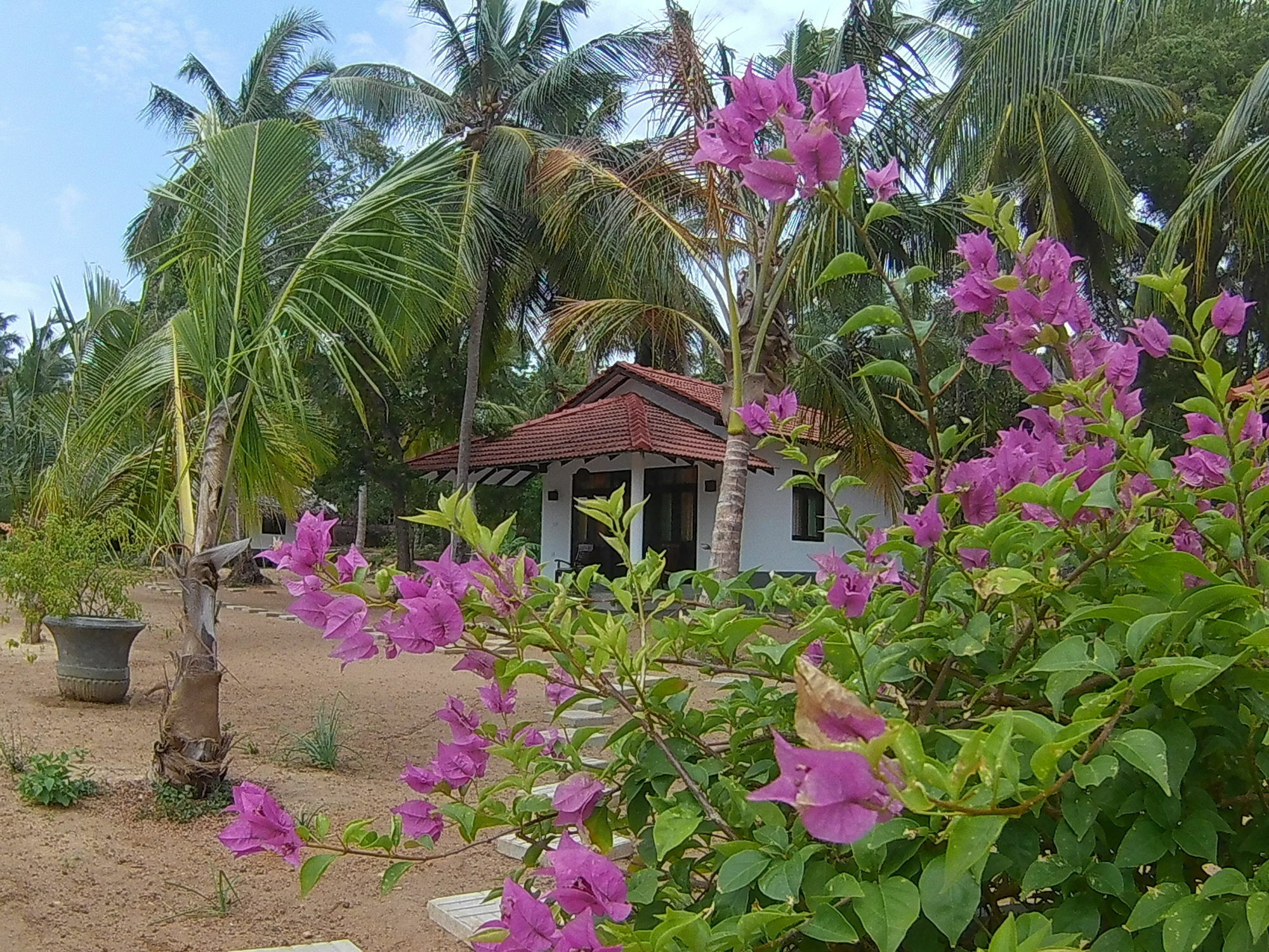 Chillenjoy Cabanas & Restaurant Tangalle Esterno foto